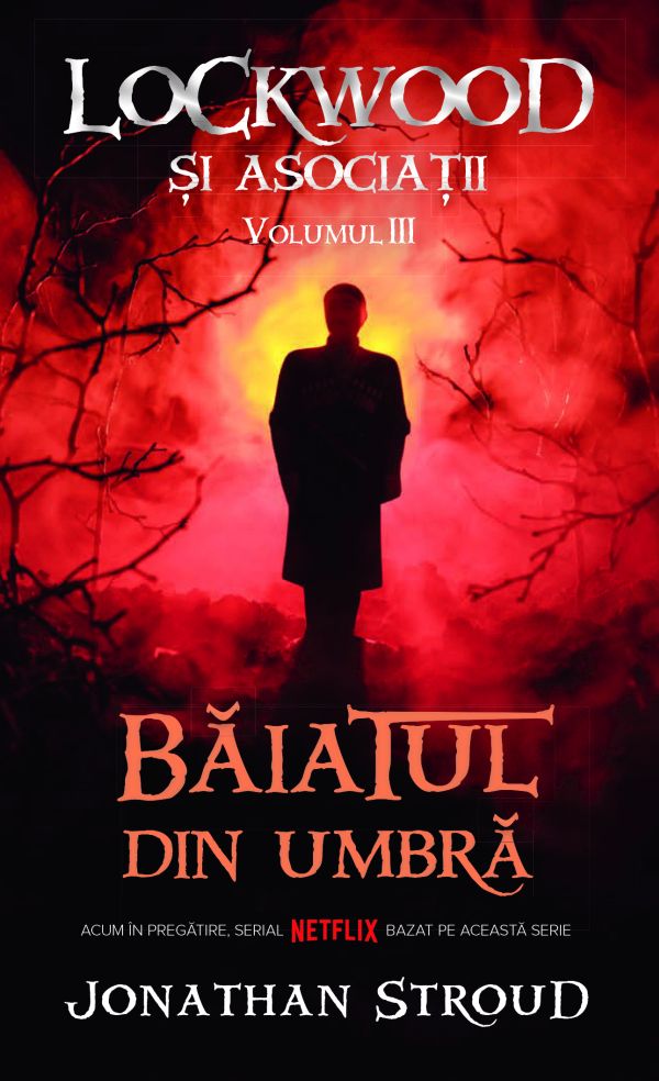 Baiatul din umbra. Seria Lockwood si asociatii, vol. 3