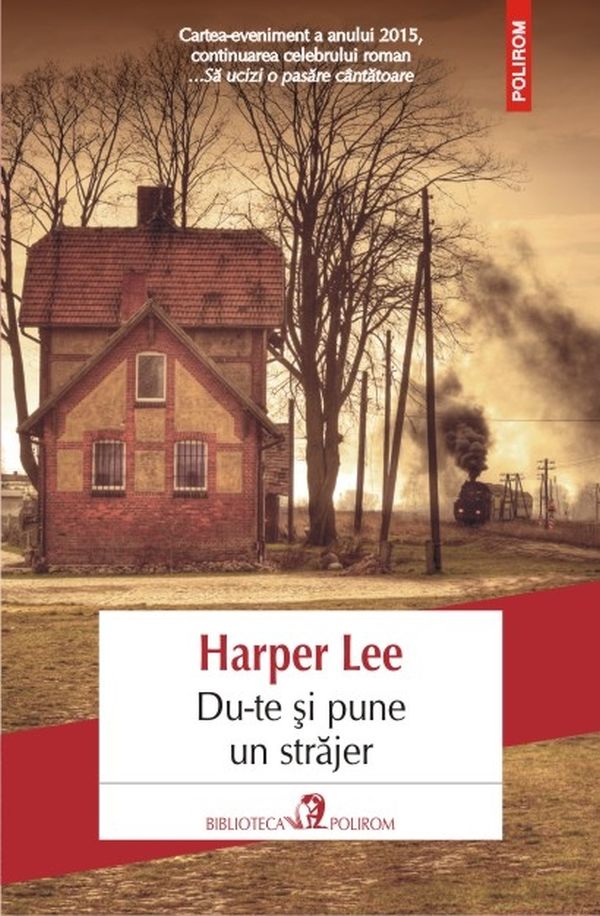 Du-te si pune un strajer