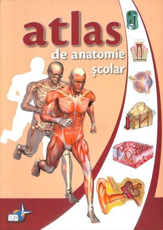 Atlas de anatomie scolara