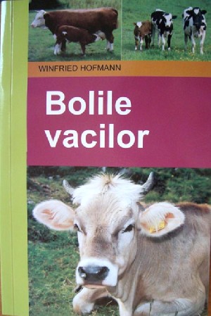 Bolile vacilor