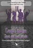 Copii indigo. Zece ani mai tarziu. Ce se intampla cu Adolescentii indigo