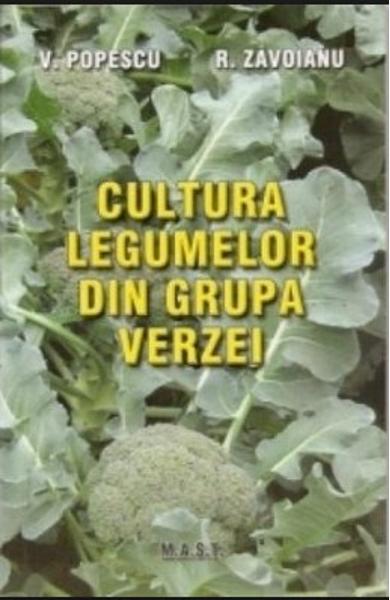 Cultura legumelor din grupa verzei