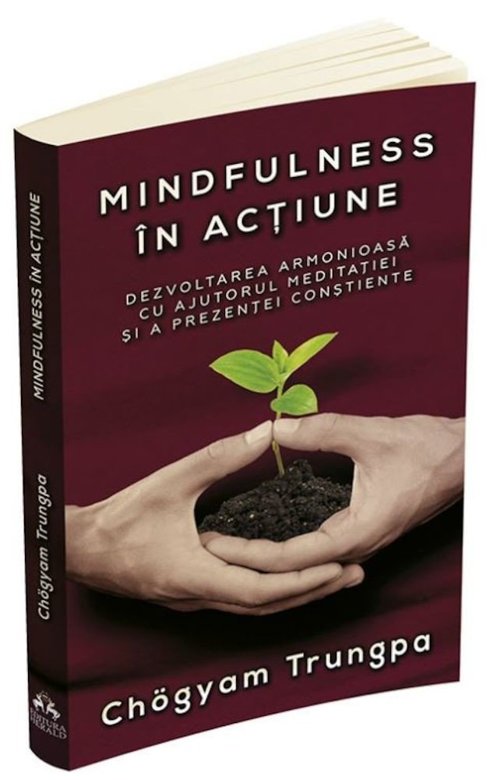 Mindfulness in actiune. Dezvoltarea armonioasa cu ajutorul meditatiei si a prezentei constiente