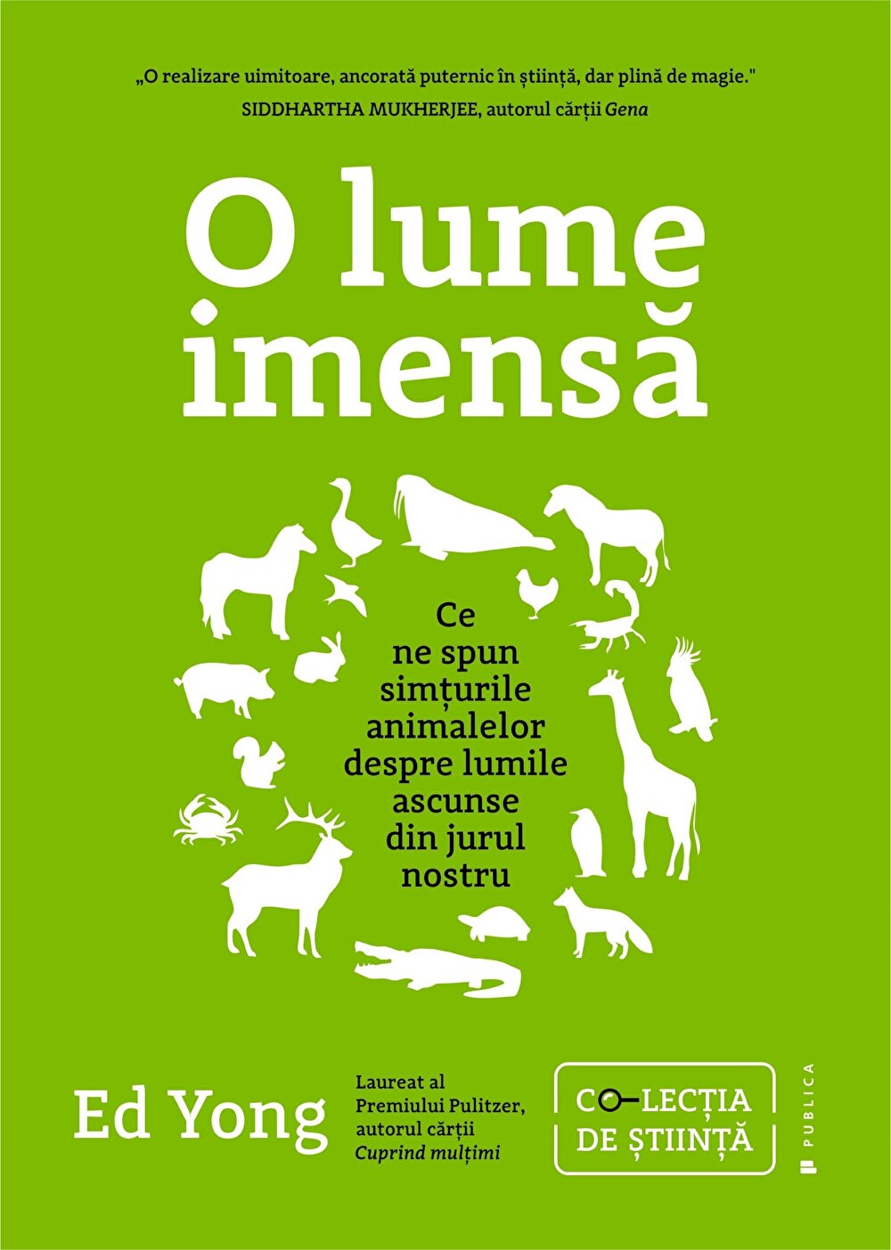 O lume imensa