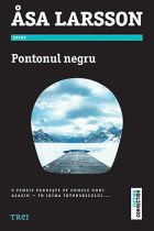 Pontonul negru