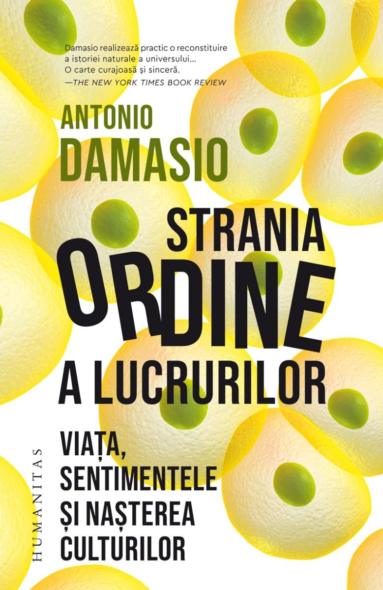 Strania ordine a lucrurilor